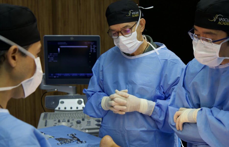 vascular-academy-imagem-phlebo-training